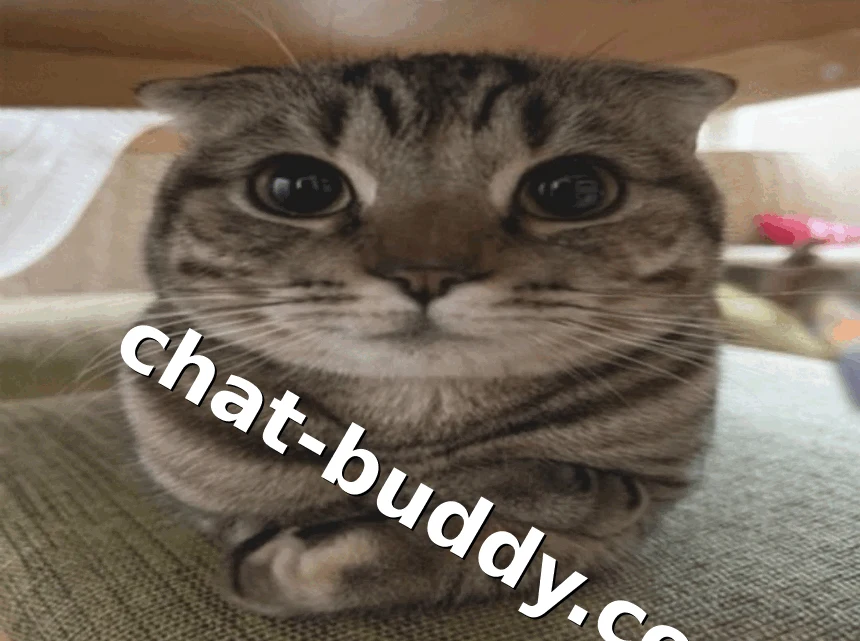 Community photo by thedud